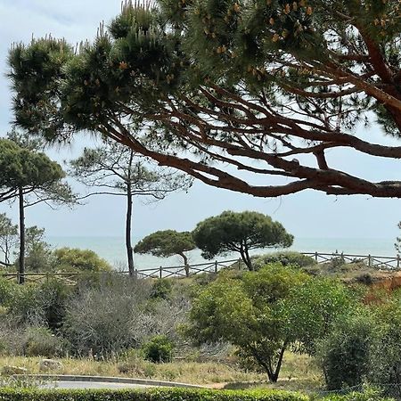 Praia Da Falesia Alfa Mar Albufeira ออยุส ดิ อากวา ภายนอก รูปภาพ