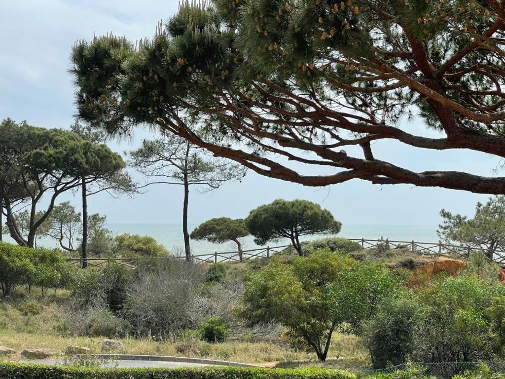 Praia Da Falesia Alfa Mar Albufeira ออยุส ดิ อากวา ภายนอก รูปภาพ